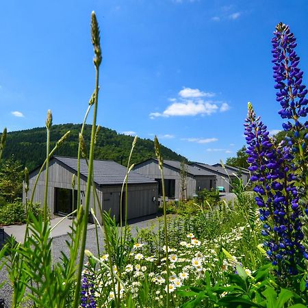 Sauerland Lodge - Haus Juliana Winterberg Eksteriør bilde