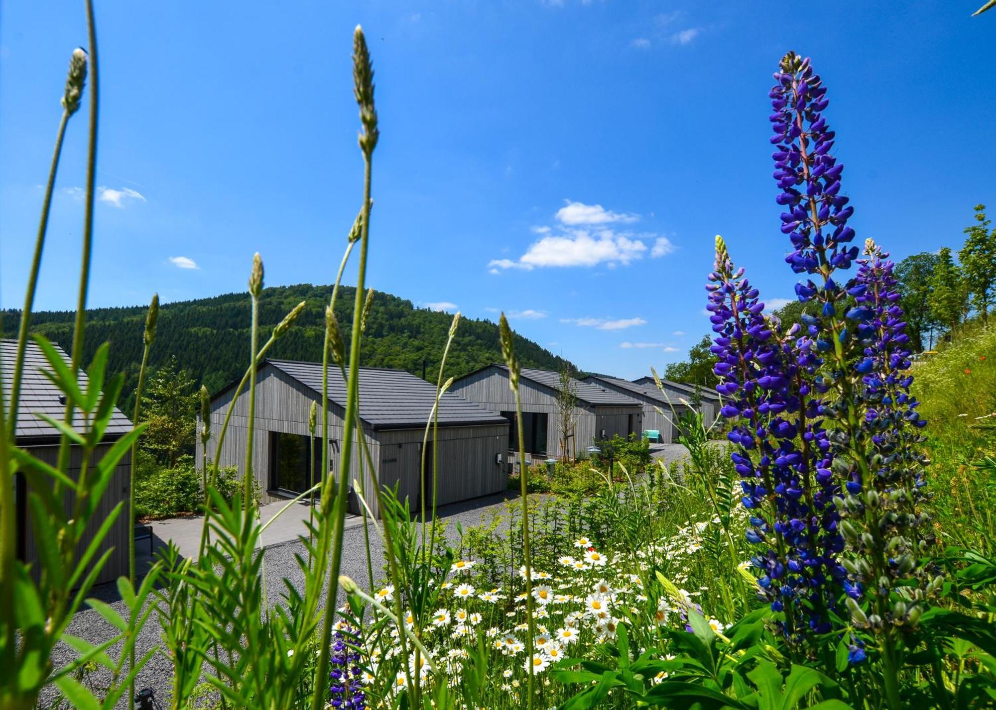 Sauerland Lodge - Haus Juliana Winterberg Eksteriør bilde